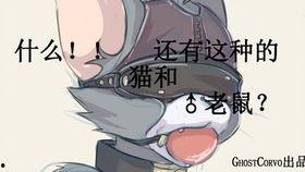 猫和老鼠明星的待遇,明星猫与老鼠的奢华生活